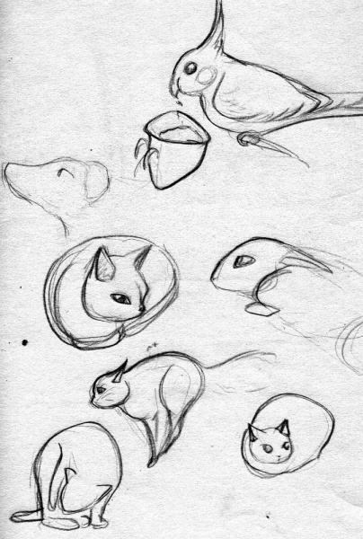croquis01 - croquis01.jpg croquis01.jpg