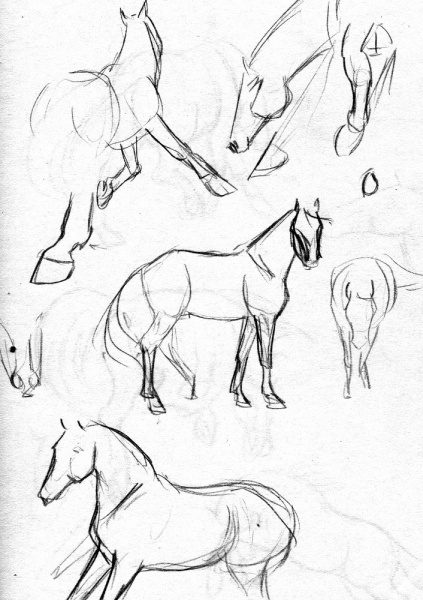 croquis03 - croquis03.jpg croquis03.jpg