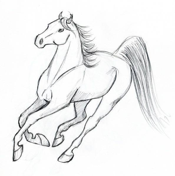 galop - galop.jpg galop.jpg