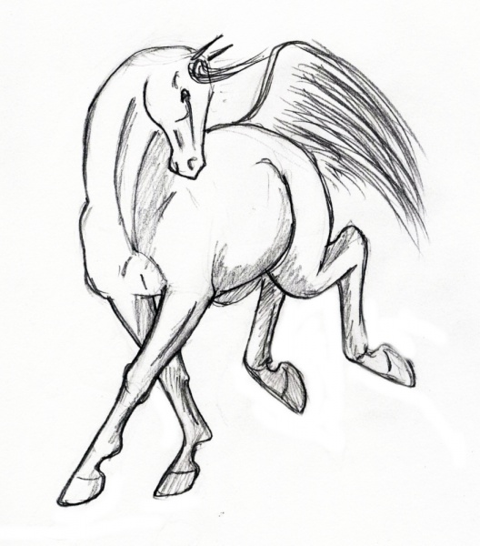 galop2 - galop2.jpg galop2.jpg