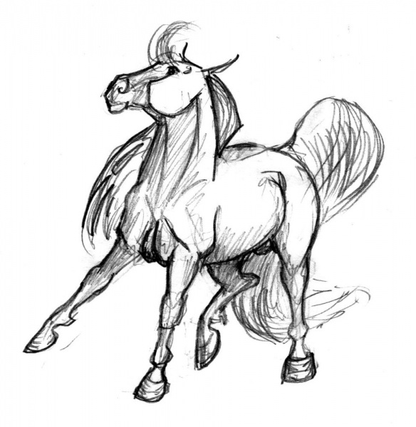 horse11 - horse11.jpg horse11.jpg