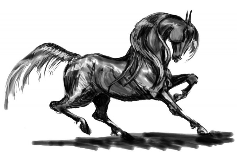 speed horse01 - speed_horse01.jpg speed_horse01.jpg