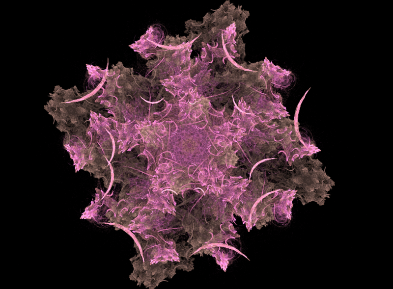 fractale fleur01 - fractale_fleur01.png fractale_fleur01.png