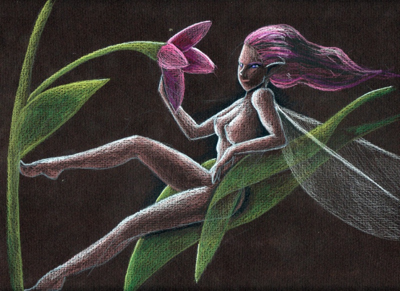 fee fleur02 - fee_fleur02.jpg fee_fleur02.jpg