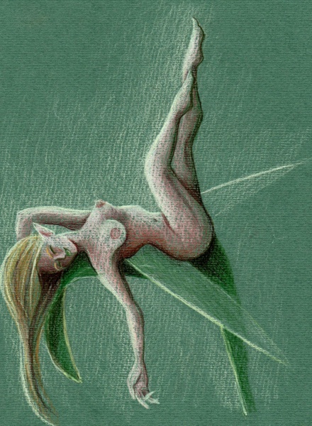 fee verte - fee_verte.jpg fee_verte.jpg