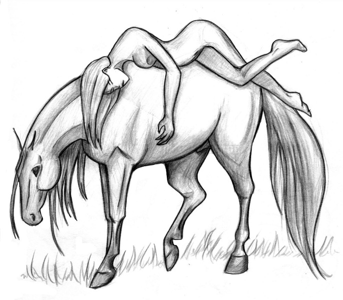 chevalnue - chevalnue.jpeg chevalnue.jpeg