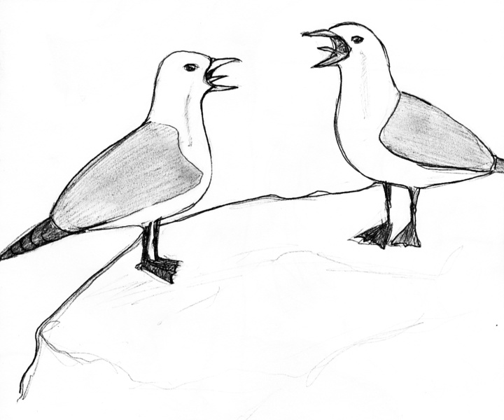 cathyleen mouettes - cathyleen_mouettes.jpg cathyleen_mouettes.jpg