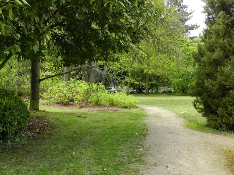 3mai-16 - 3mai-16.jpg 3mai-16.jpg