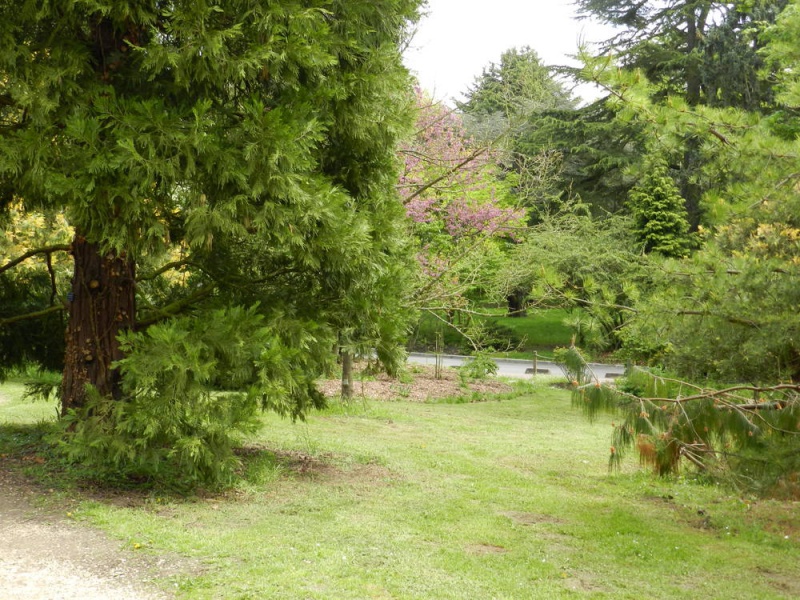 3mai-17 - 3mai-17.jpg 3mai-17.jpg