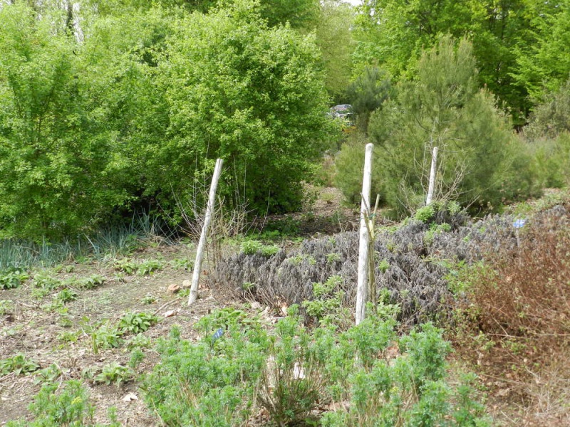 3mai-18 - 3mai-18.jpg 3mai-18.jpg