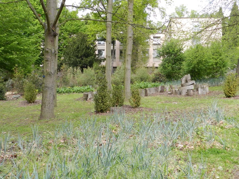 3mai-20 - 3mai-20.jpg 3mai-20.jpg