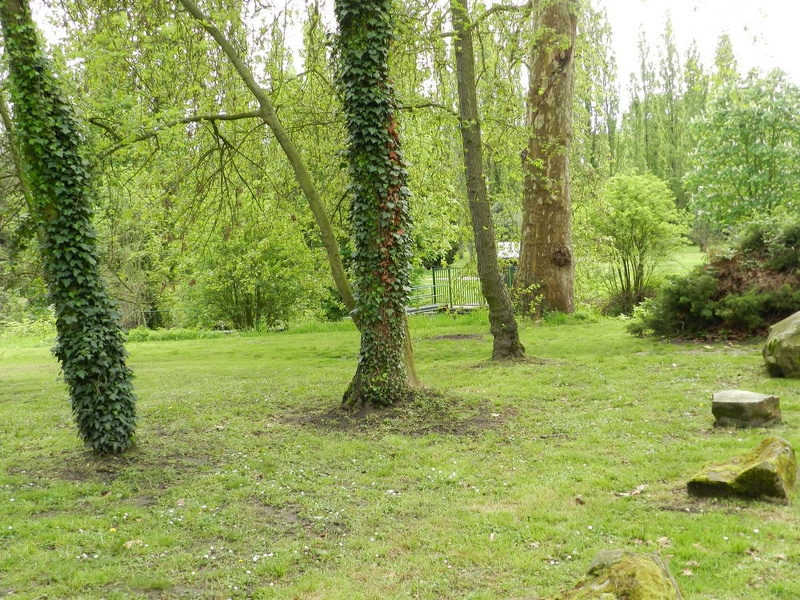 3mai-21 - 3mai-21.jpg 3mai-21.jpg