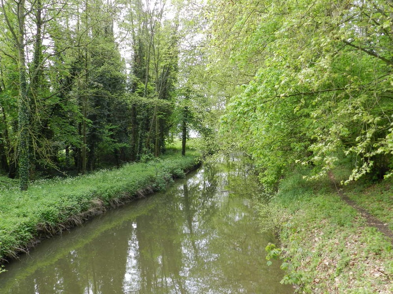 3mai-25 - 3mai-25.jpg 3mai-25.jpg