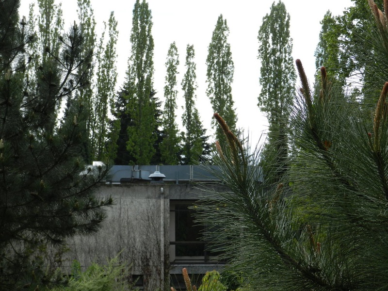 3mai-28 - 3mai-28.jpg 3mai-28.jpg
