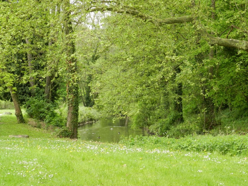 3mai-29 - 3mai-29.jpg 3mai-29.jpg