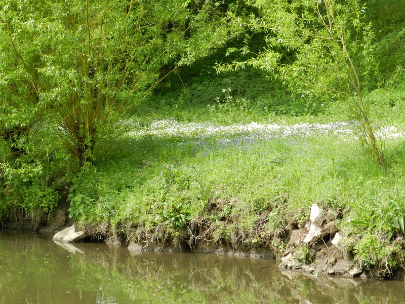 3mai-32 - 3mai-32.jpg 3mai-32.jpg
