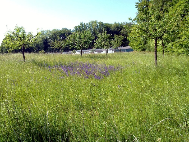 mai2011-9 - mai2011-9.jpg mai2011-9.jpg