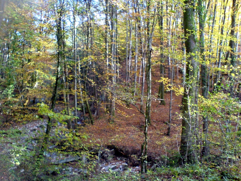 automne hiver2007-07 - automne_hiver2007-07.jpg automne_hiver2007-07.jpg