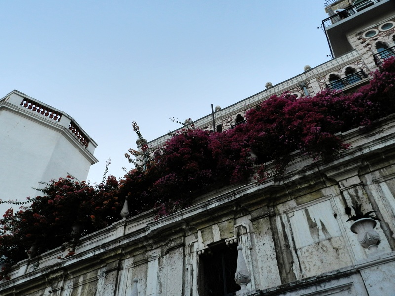 Lisbonne-aout 2013-100 - Lisbonne-aout_2013-100.jpg Lisbonne-aout_2013-100.jpg