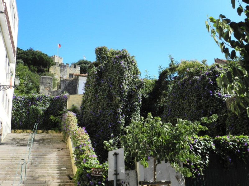 Lisbonne-aout 2013-55 - Lisbonne-aout_2013-55.jpg Lisbonne-aout_2013-55.jpg