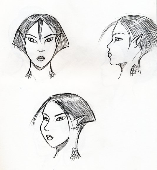 model sheet ista - model_sheet_ista.jpg model_sheet_ista.jpg
