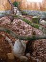 Parcs et zoos