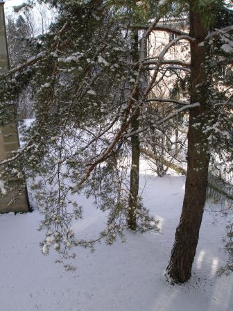 neige.jpg