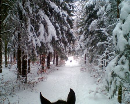 hiver.jpg, janv. 2010 hiver.jpg